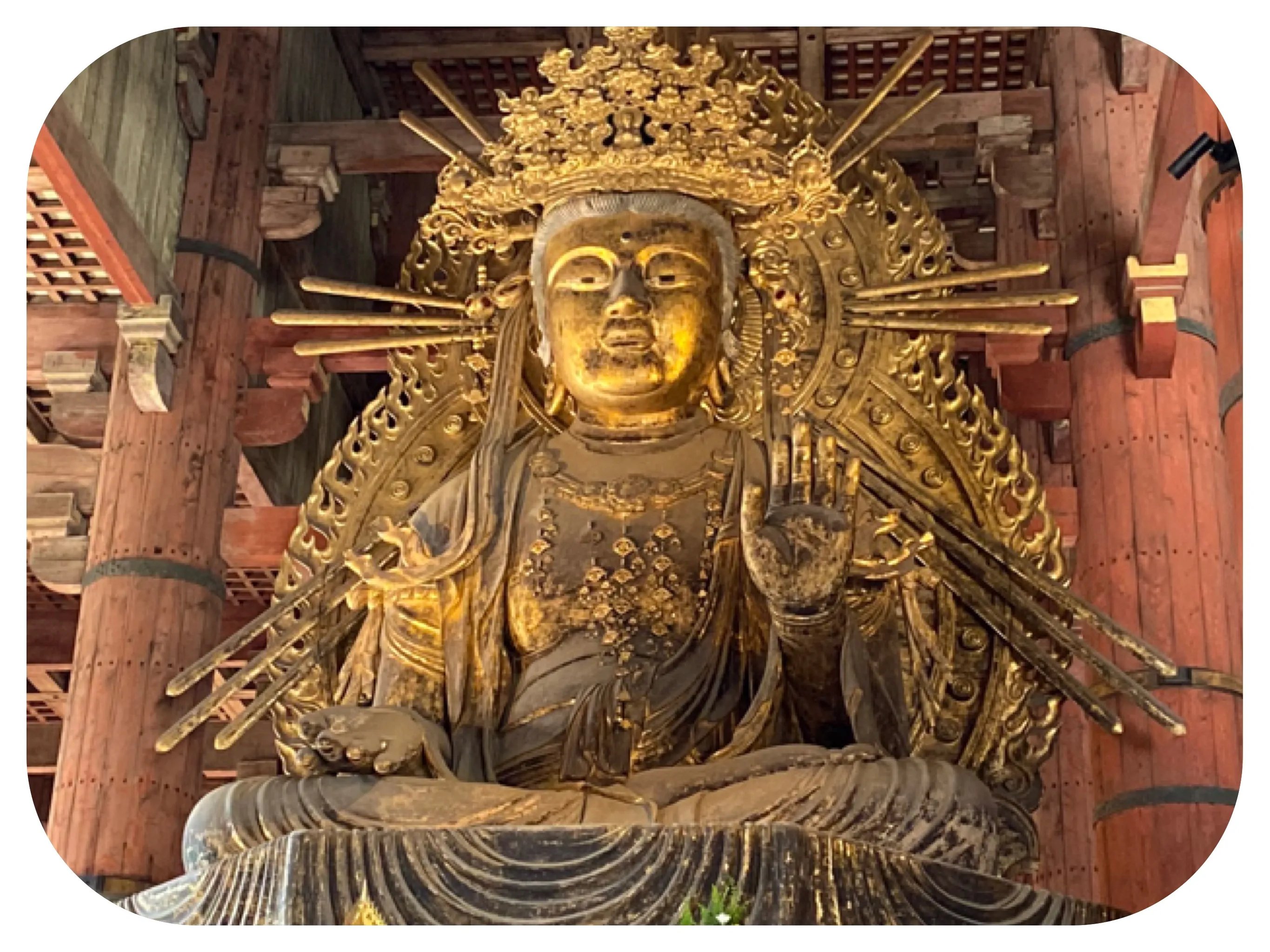 🛕 타이유지 절 이미지 9